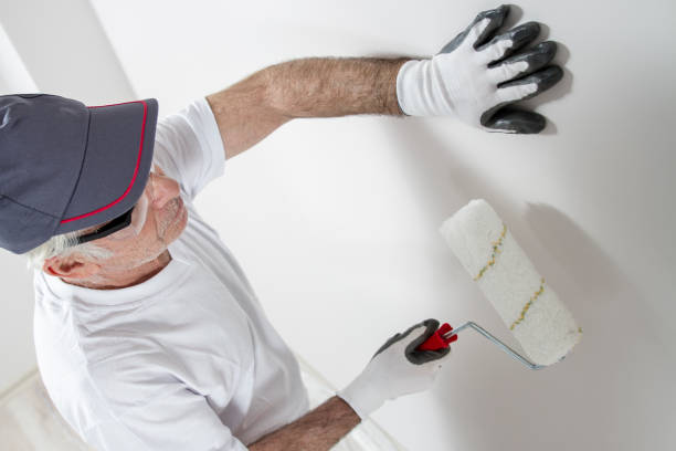 Best Black Mold Removal  in Eddyville, KY