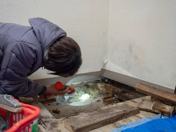 Forensic Mold Investigation in Eddyville, KY
