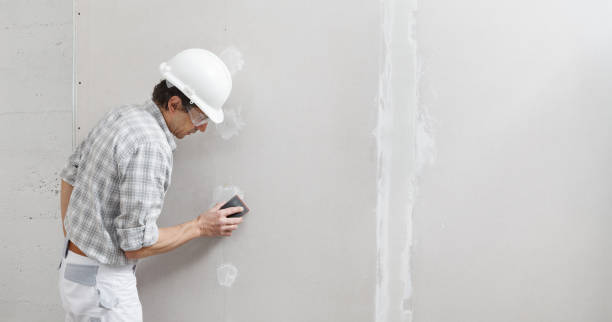 Best Commercial Mold Inspection  in Eddyville, KY