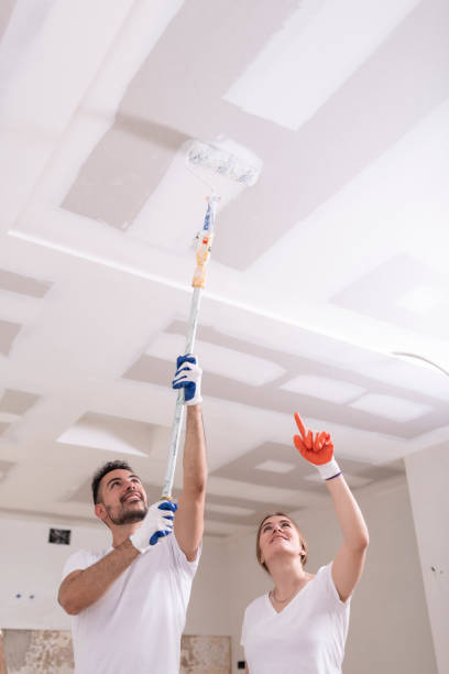 Best Mold Damage Restoration  in Eddyville, KY