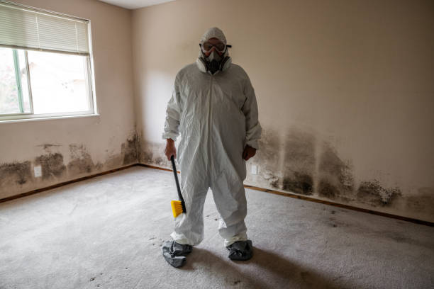 Best Mold Remediation for Healthcare Facilities  in Eddyville, KY