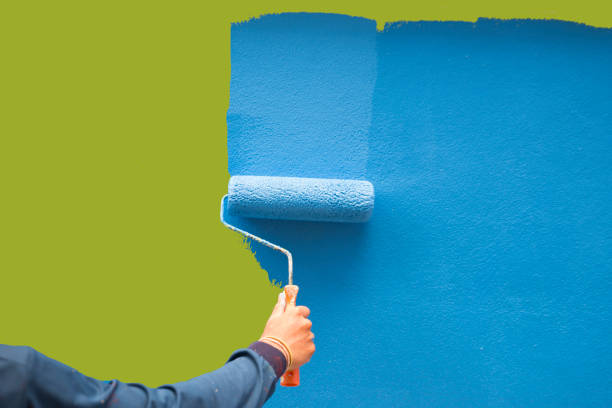 Best Basement Mold Removal  in Eddyville, KY